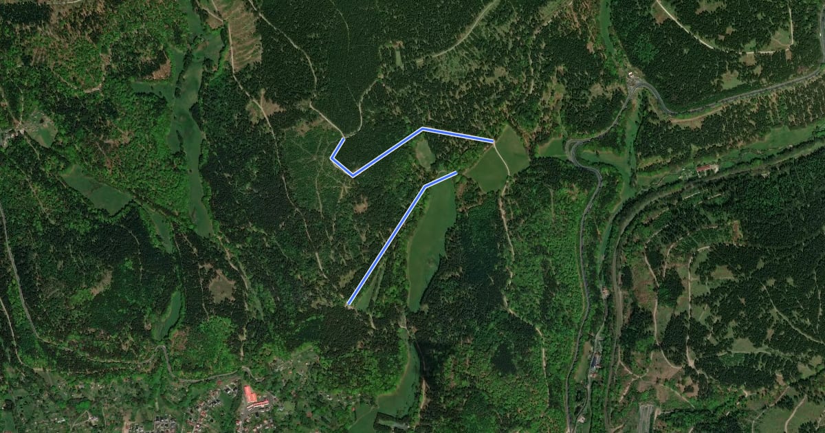 Маршрут Skiwanderweg - Dammwiese на спутниковом снимке