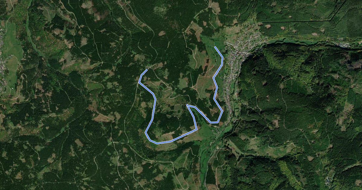 Маршрут Skiwanderweg Manebach - Moosbachtal - Mönchhof на спутниковом снимке