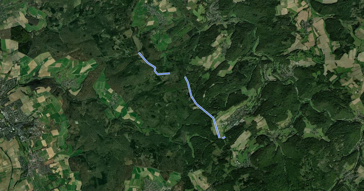 Маршрут Skiwanderweg Riedelbach - Kuhbett на спутниковом снимке