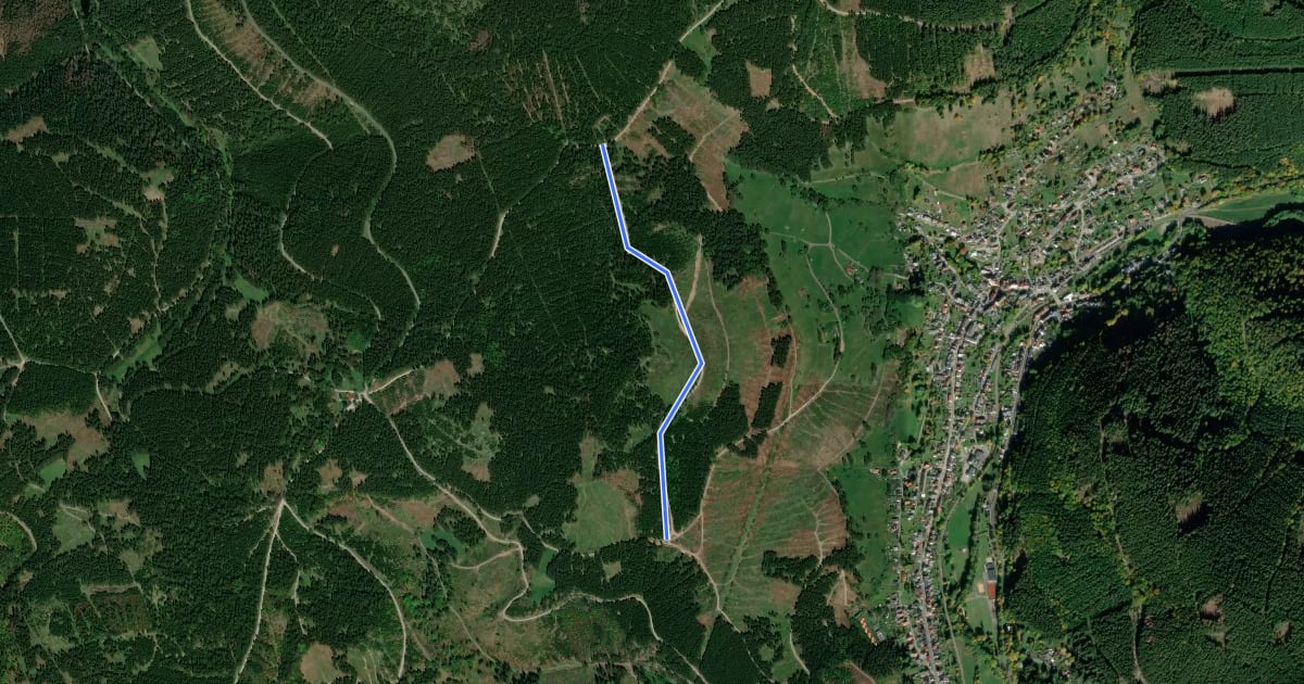 Маршрут Skiwanderweg um den Buntschildskopf на спутниковом снимке