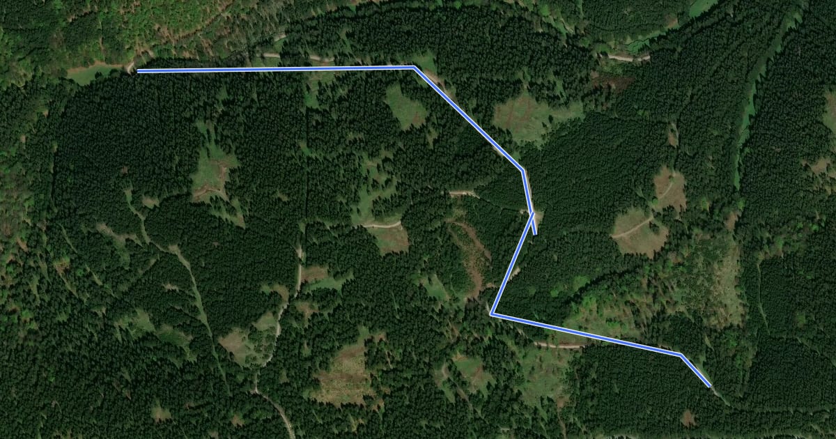 Маршрут Skiwanderweg zum Ilmenauer Skiweg на спутниковом снимке