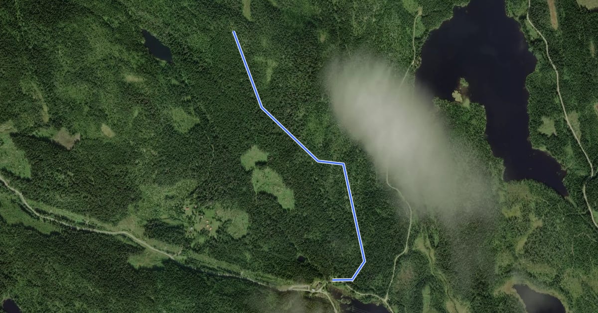 Маршрут Skogsti til Svarttjernshøgda на спутниковом снимке