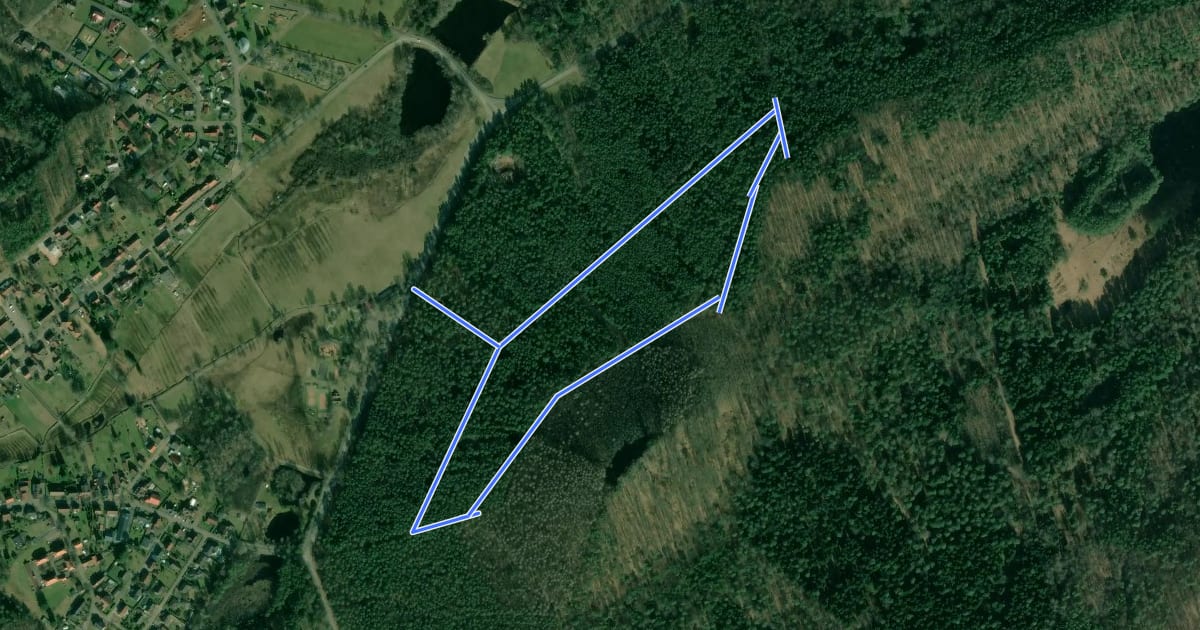 Маршрут Skulpturenweg Ludwigswinkel на спутниковом снимке