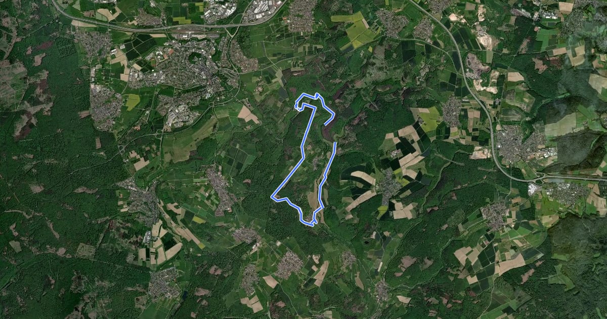 Маршрут Skulpturenweg Reckenthal (großer Rundweg) на спутниковом снимке