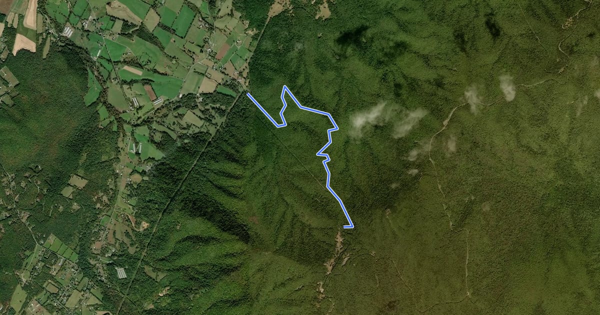 Маршрут Skyland Fire Road на спутниковом снимке