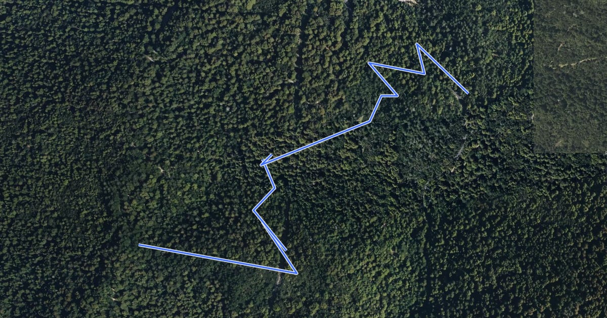 Маршрут Skyline To The Sea Trail Equestrian 3 на спутниковом снимке