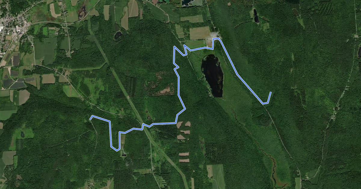 Маршрут Skyline Trail на спутниковом снимке