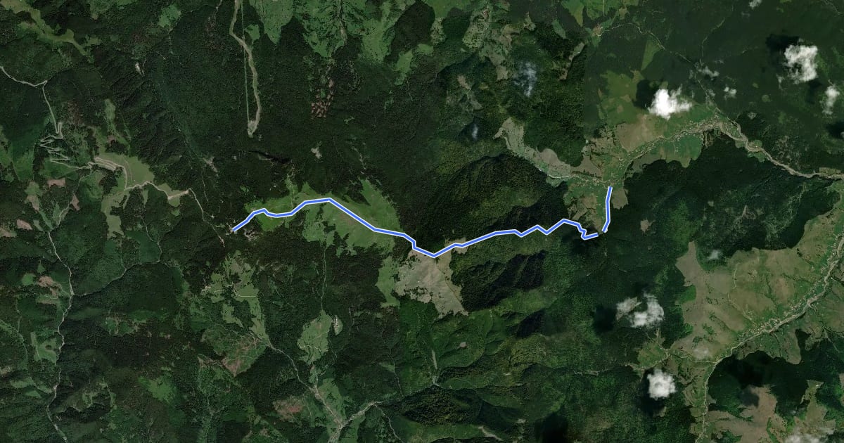 Маршрут Slătioara – Hotel Rarău (red triangle) на спутниковом снимке