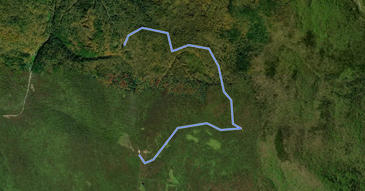 Маршрут Slack Hill Trail на спутниковом снимке