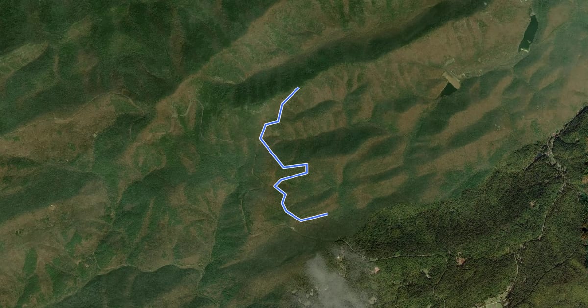 Маршрут Slacks Overlook Trail на спутниковом снимке