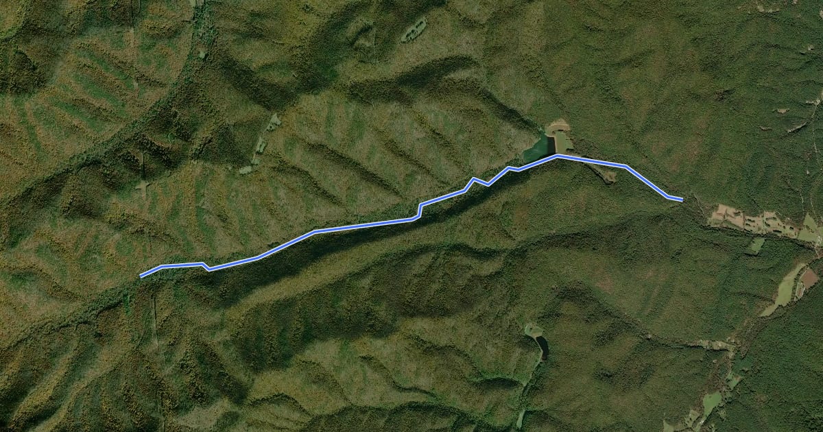 Маршрут Slate Lick Trail на спутниковом снимке