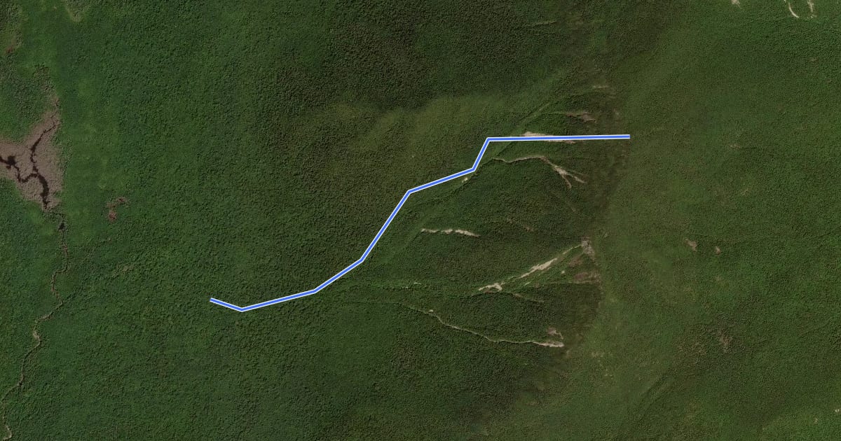 Маршрут Slide Brook Trail на спутниковом снимке