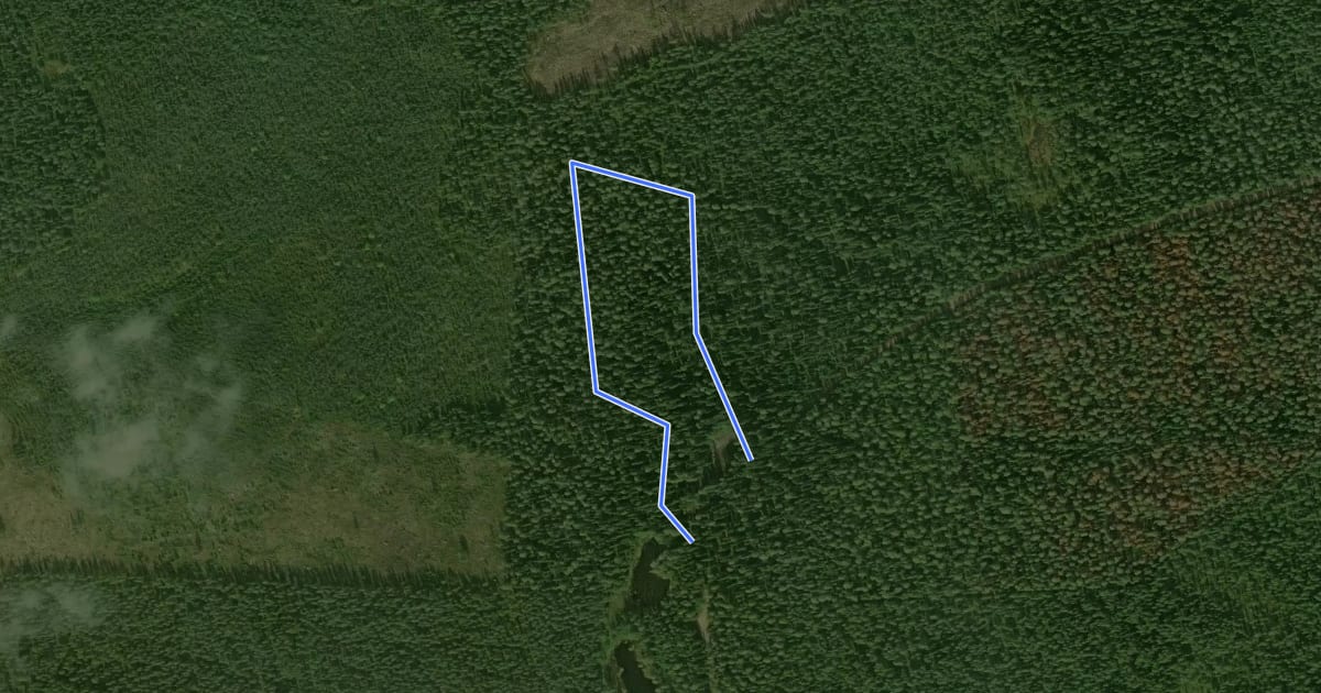 Маршрут Slinga 1,5km на спутниковом снимке
