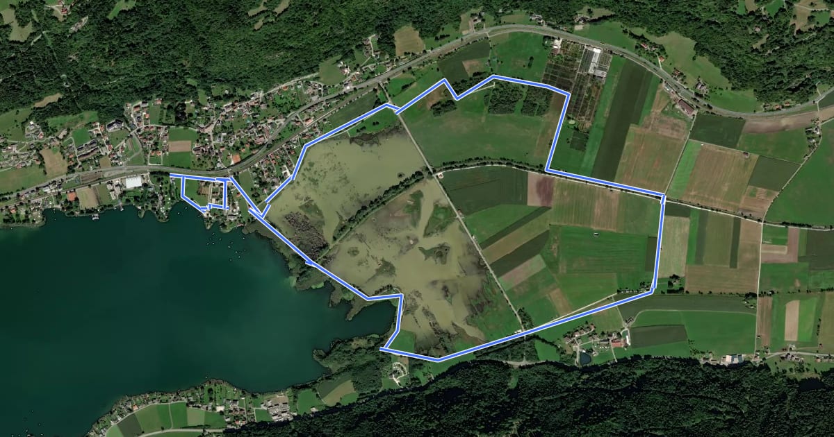Маршрут Slow Trail durch das artenreiche Bleistätter Moor на спутниковом снимке