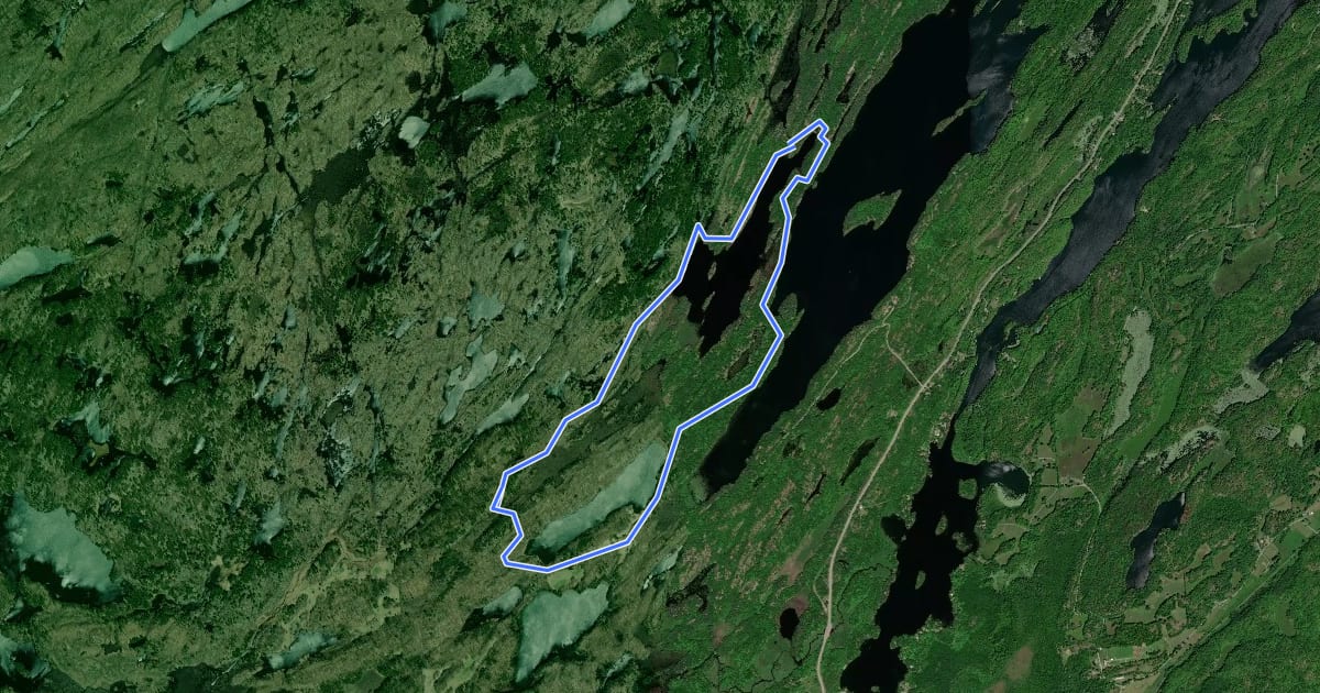 Маршрут Small Slide Lake Loop на спутниковом снимке