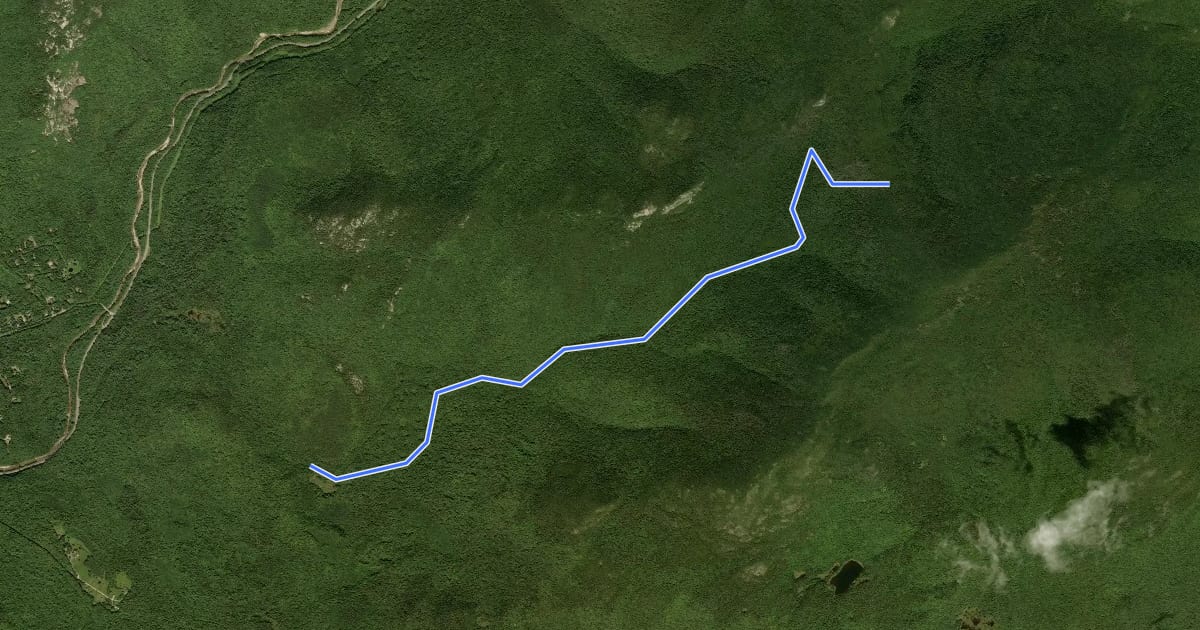 Маршрут Smarts Brook Trail на спутниковом снимке