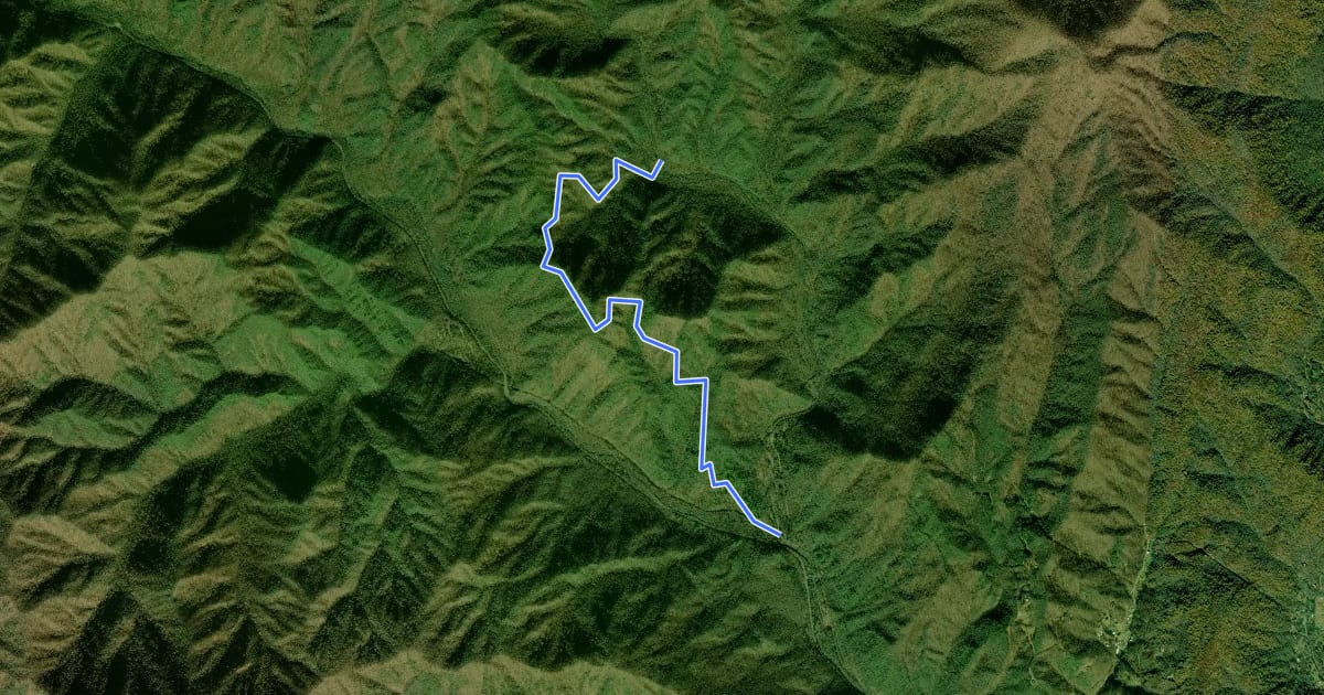 Маршрут Smokemont Loop Trail на спутниковом снимке