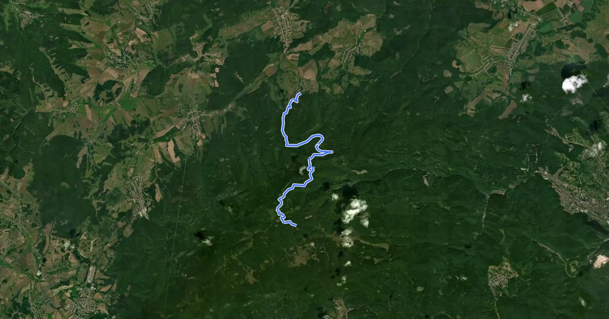 Маршрут Smtb Mályinka- Nagy-Csipkés-Tető MTB на спутниковом снимке