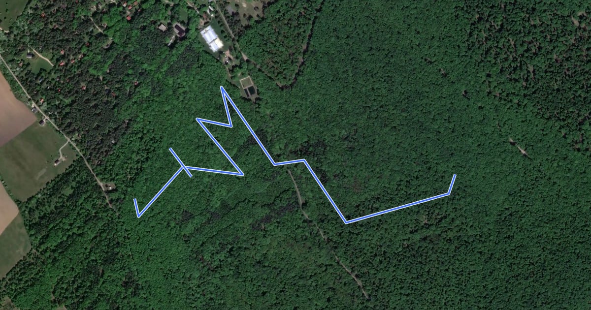Маршрут Snake trail на спутниковом снимке