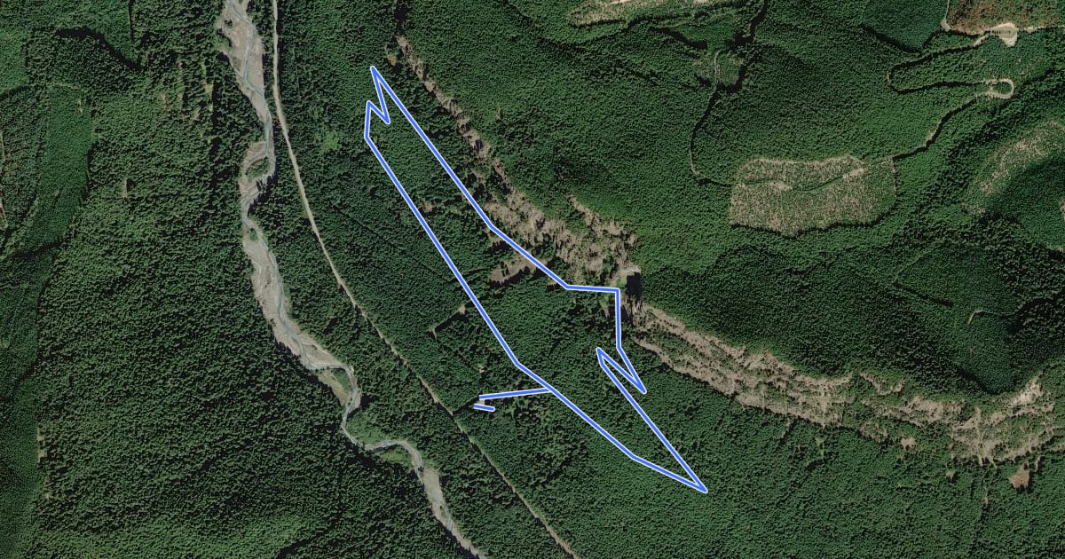 Маршрут Snoquera Falls Loop на спутниковом снимке