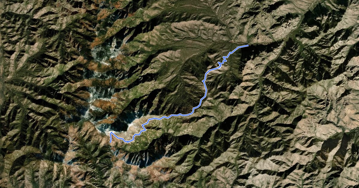 Маршрут Snowshed Trail #246 на спутниковом снимке