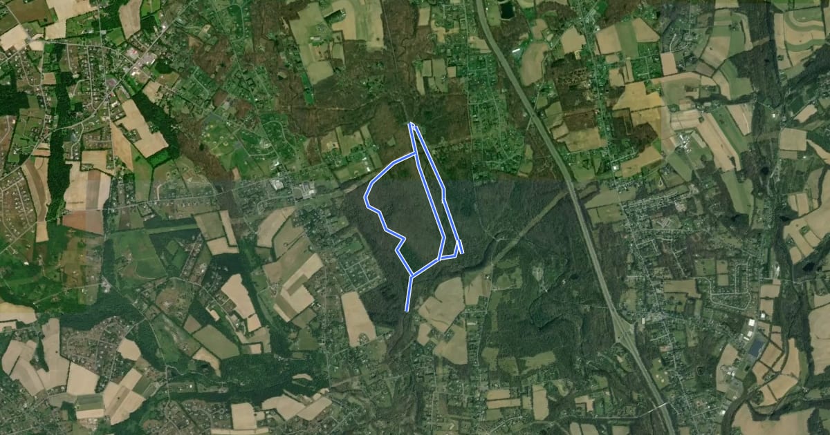 Маршрут Sober's Run Main Loop Trail на спутниковом снимке
