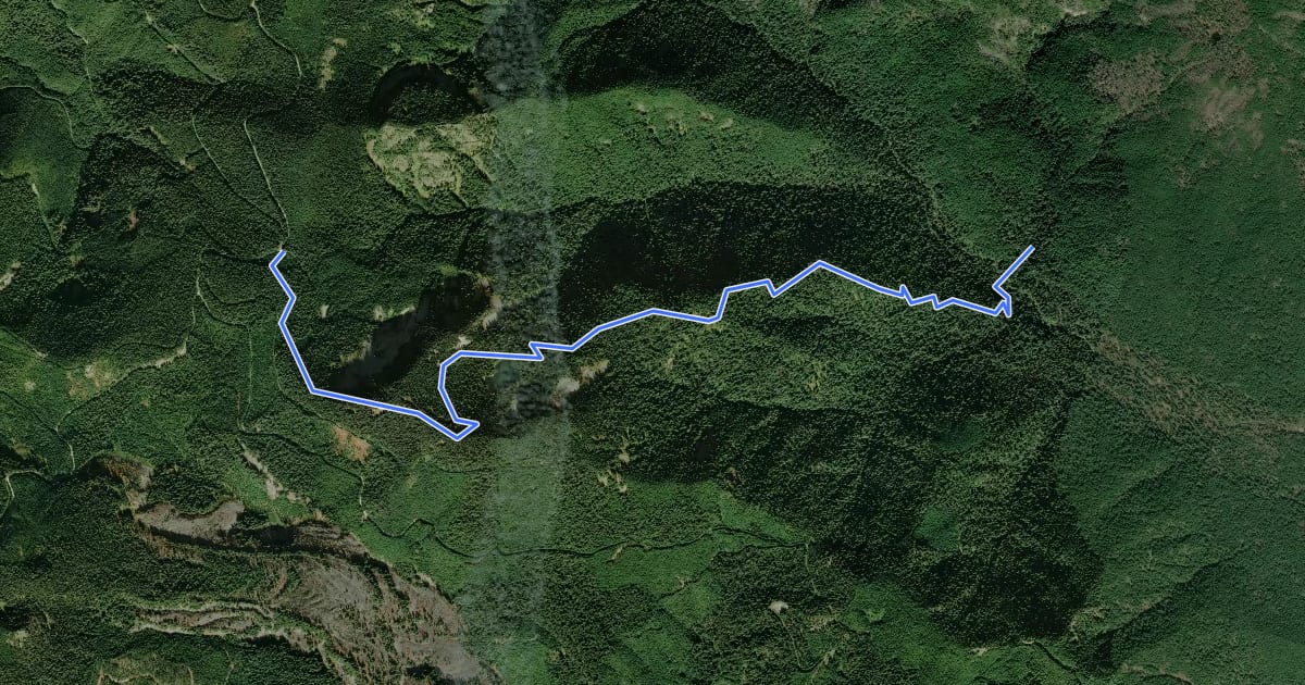 Маршрут Soda Peaks Lake Trail #133 на спутниковом снимке
