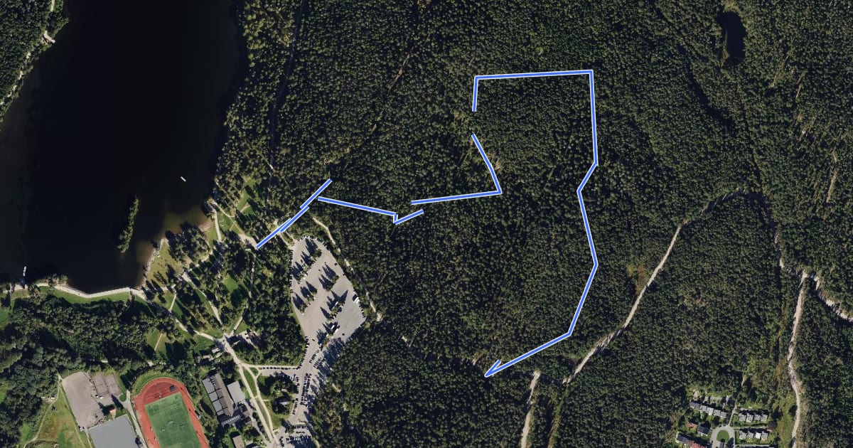 Маршрут Sognsvann natursti на спутниковом снимке
