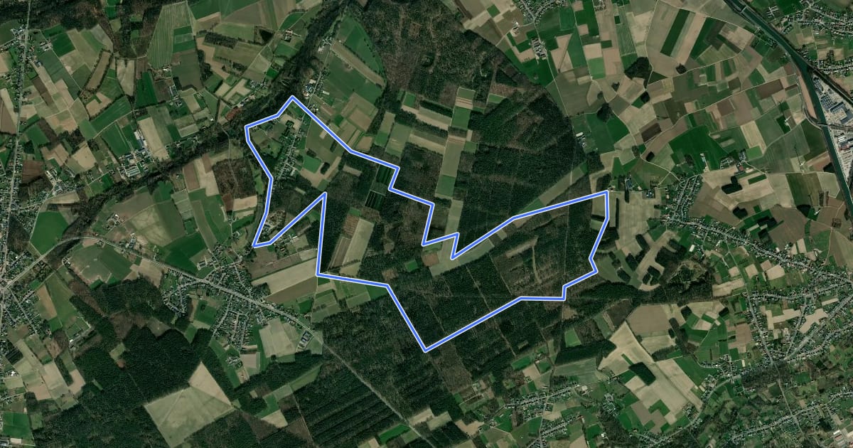Маршрут Solterheide Blauwe ruit на спутниковом снимке