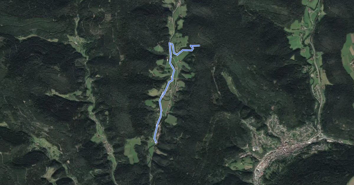 Маршрут Sommerhangweg Abzw. Auerhahn - Reinerzau Rauher Felsen на спутниковом снимке