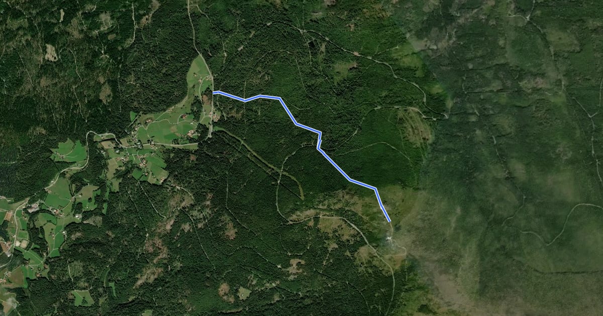 Маршрут Sommerwanderweg Dreisessel на спутниковом снимке