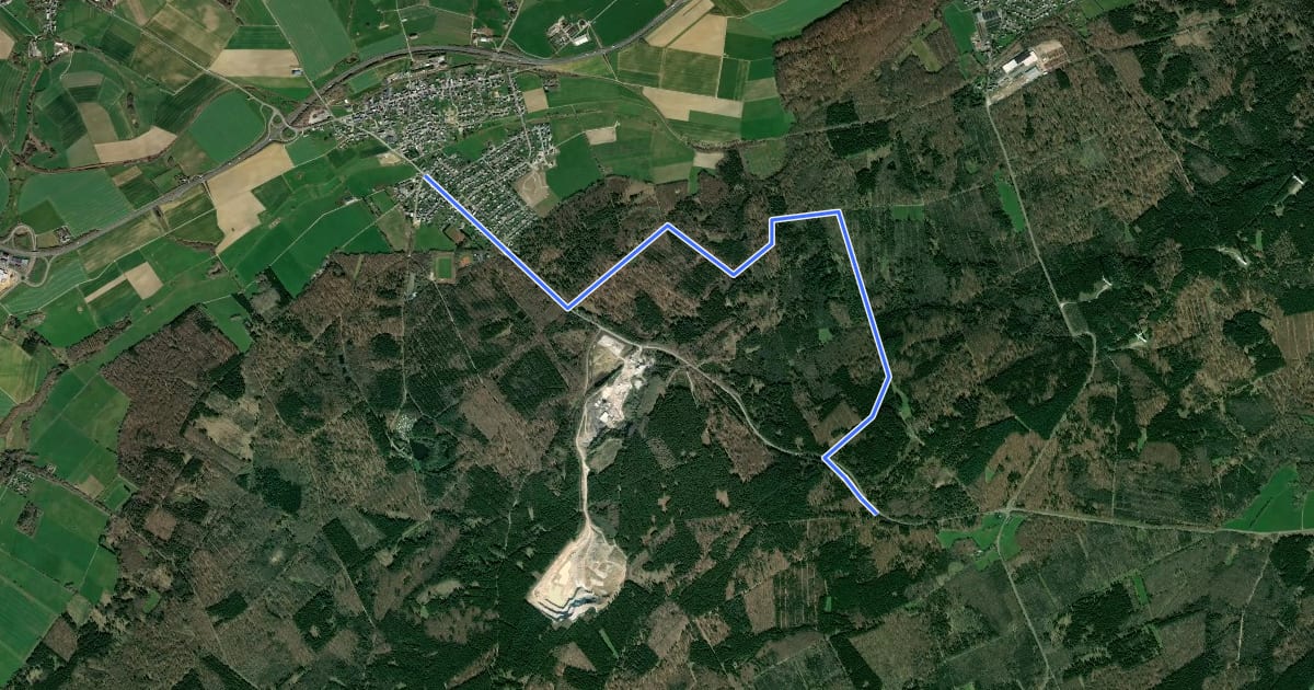 Маршрут Soonwaldsteig - Zuweg_Argenthal<-->Schanzenkopf на спутниковом снимке