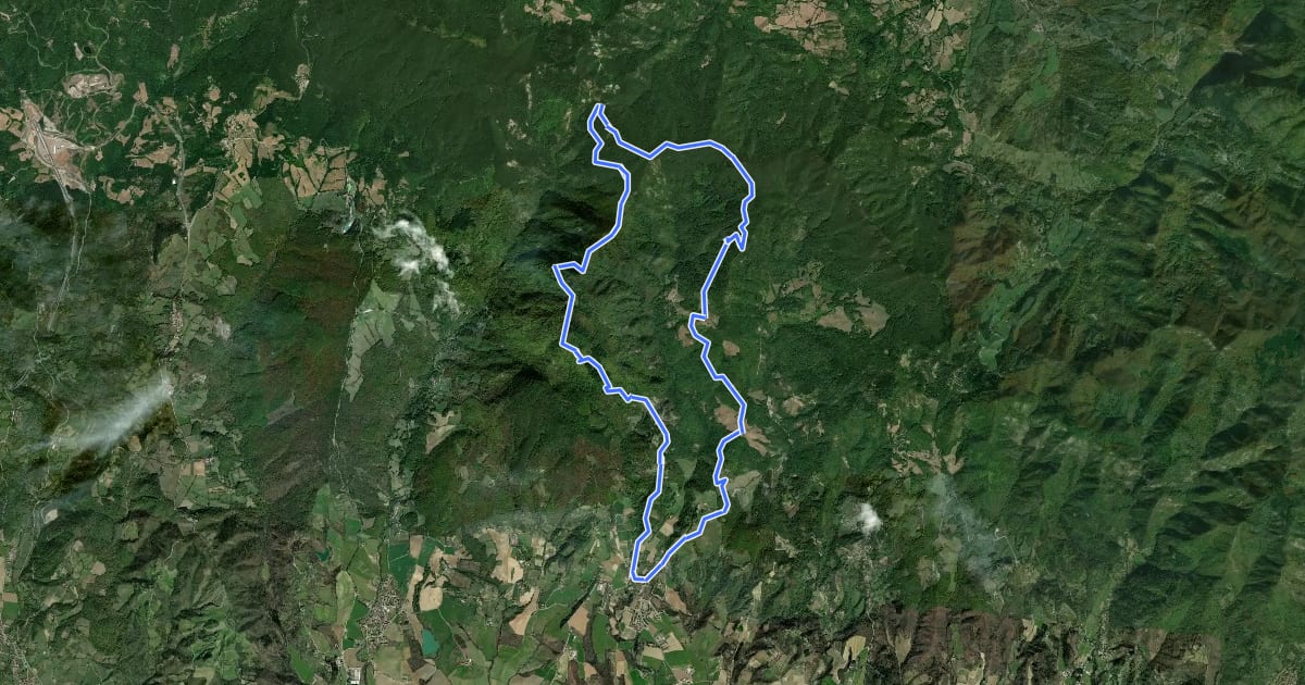 Маршрут Sorgenti di Firenze Trekking – Anello 13: Sulle antiche strade dell’Osteria Bruciata на спутниковом снимке