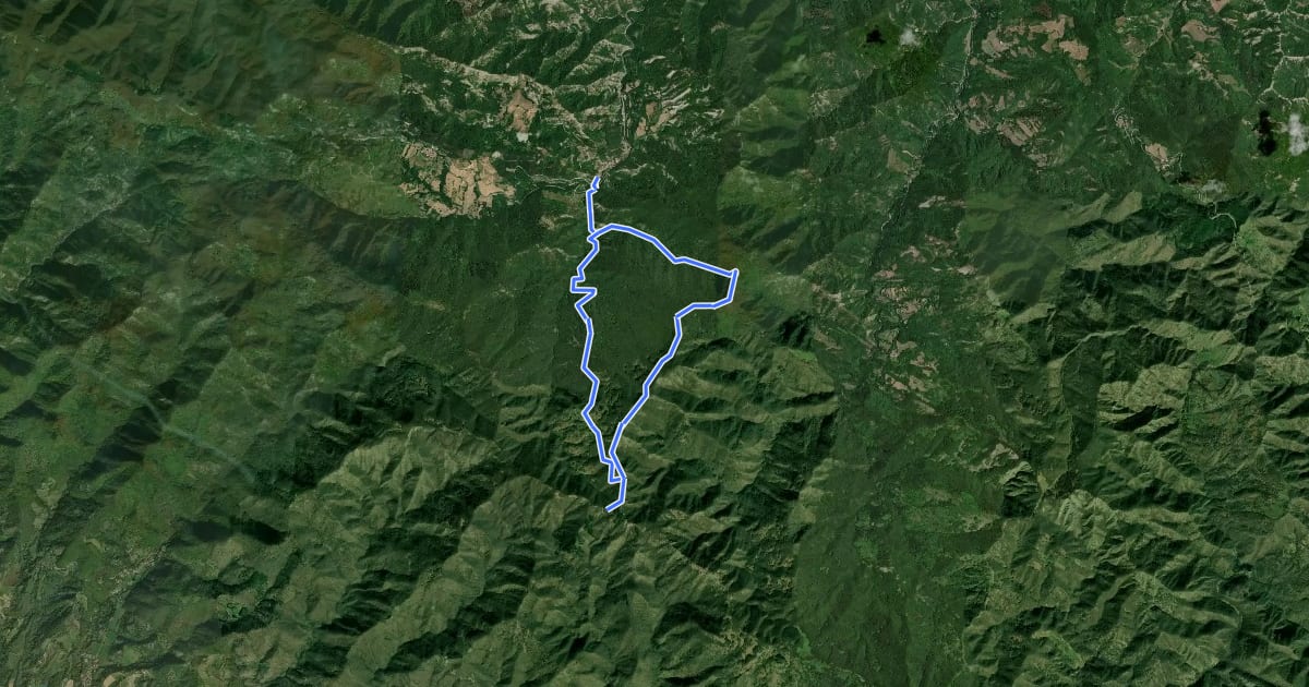 Маршрут Sorgenti di Firenze Trekking - Anello 19: Nella valle del Lamone на спутниковом снимке