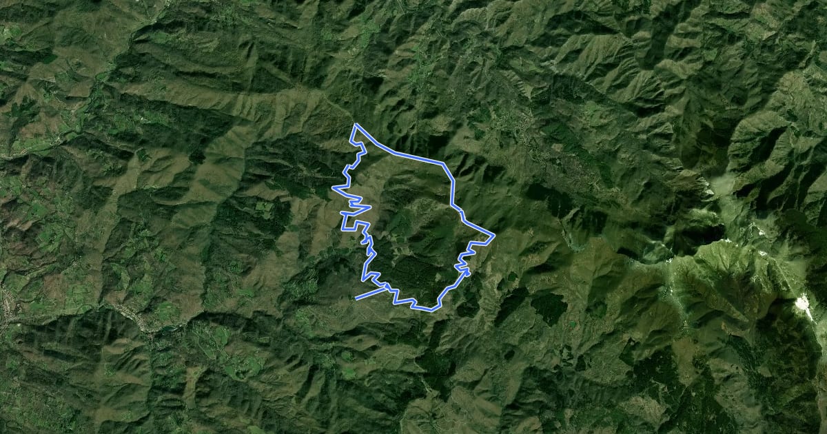 Маршрут Sorgenti di Firenze Trekking - Anello 2: Sui crinali del Falterona на спутниковом снимке