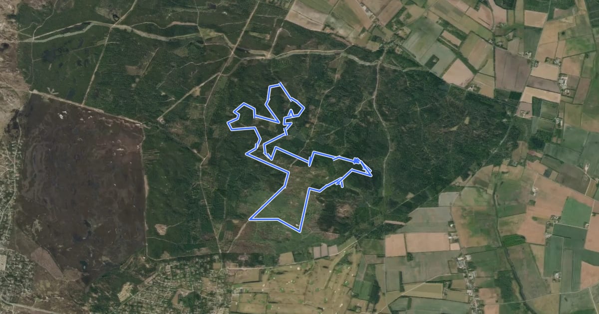 Маршрут Sort MTB rute - Blåbjerg на спутниковом снимке