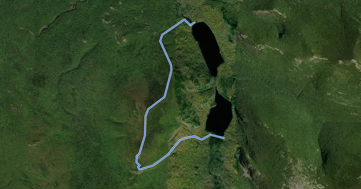 Маршрут South Branch Mountain Trail на спутниковом снимке