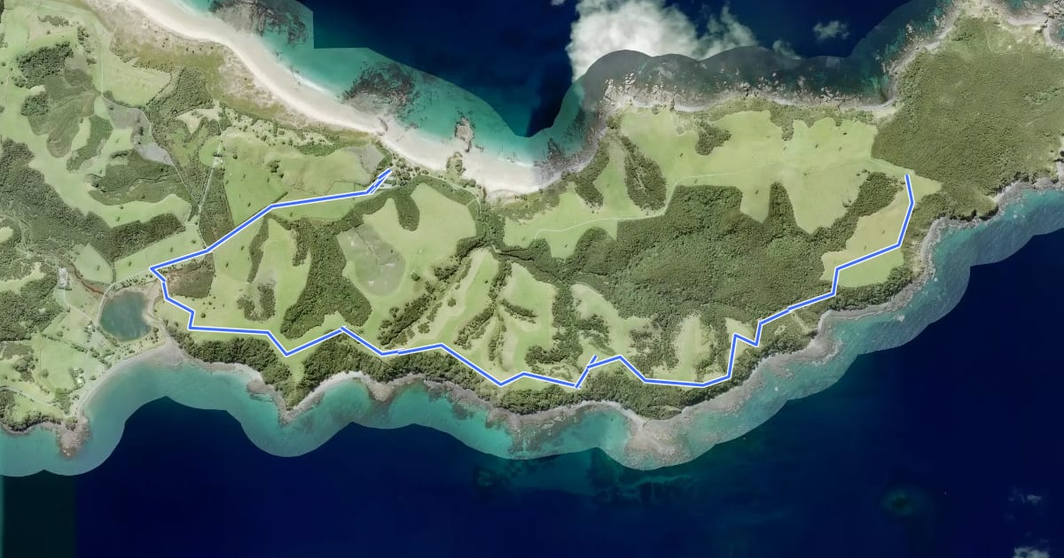 Маршрут South Coast Track на спутниковом снимке