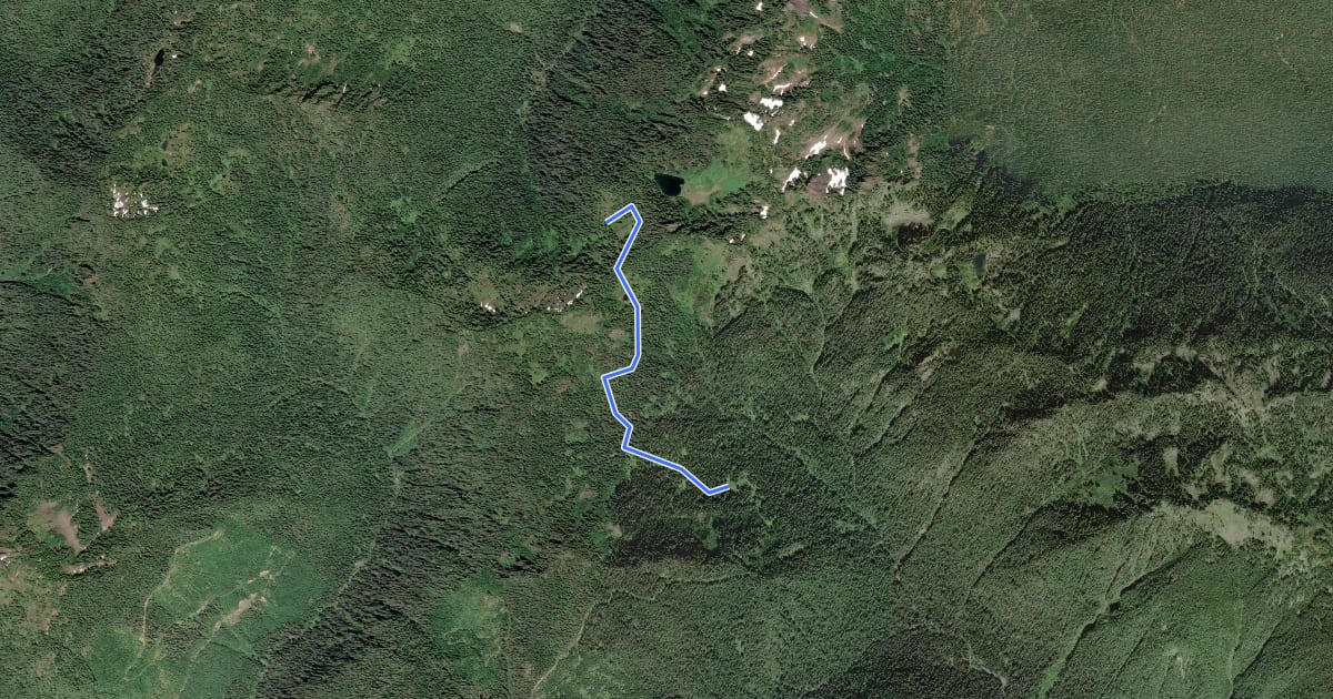 Маршрут South Fork Skokomish River Trail на спутниковом снимке