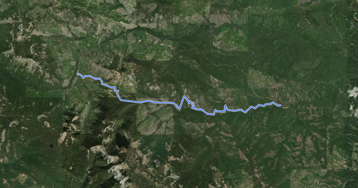 Маршрут South Fork Taneum Trail на спутниковом снимке
