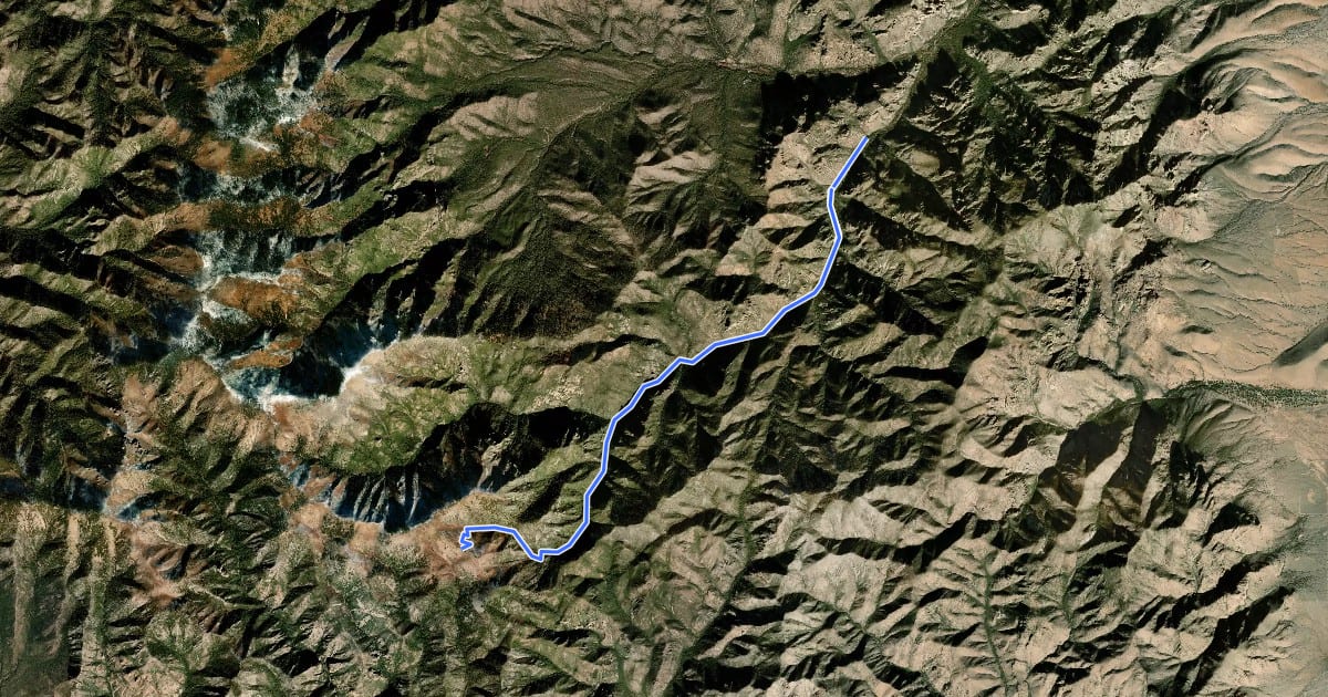 Маршрут South Fork Trail #243 на спутниковом снимке