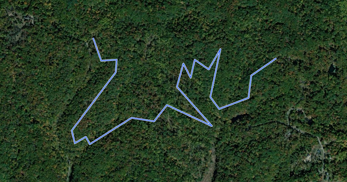 Маршрут South Loop Trail на спутниковом снимке