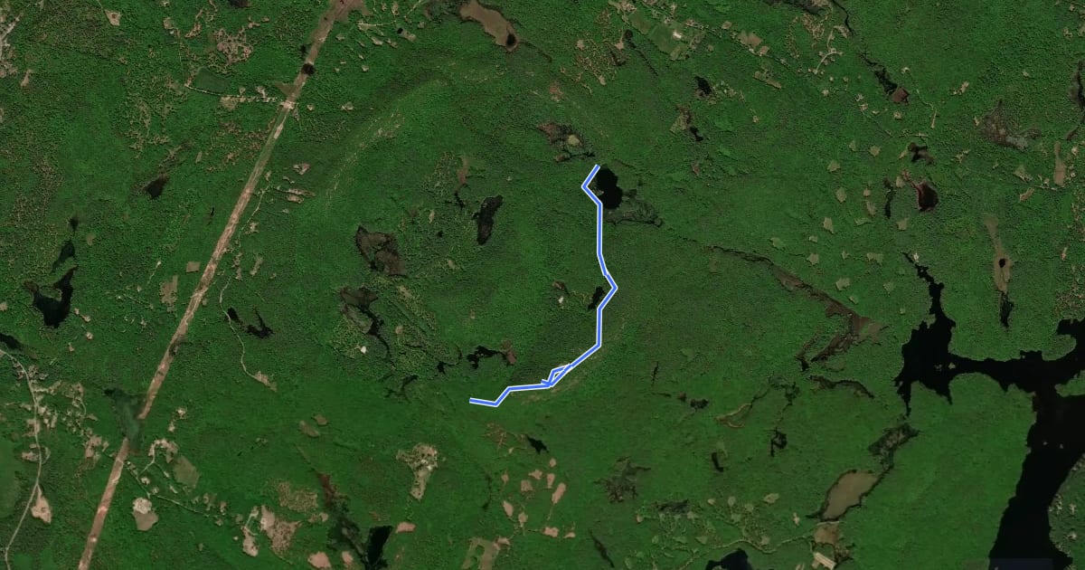 Маршрут South Ridge Trail на спутниковом снимке