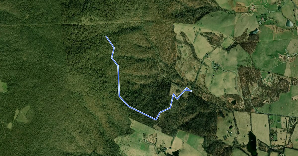 Маршрут South Ridge Trail на спутниковом снимке