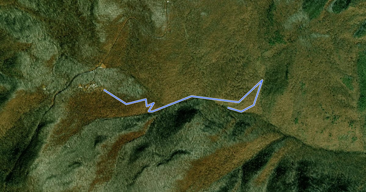 Маршрут South River Falls Trail на спутниковом снимке
