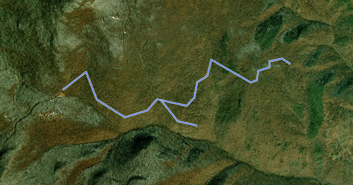 Маршрут South River Fire Road на спутниковом снимке