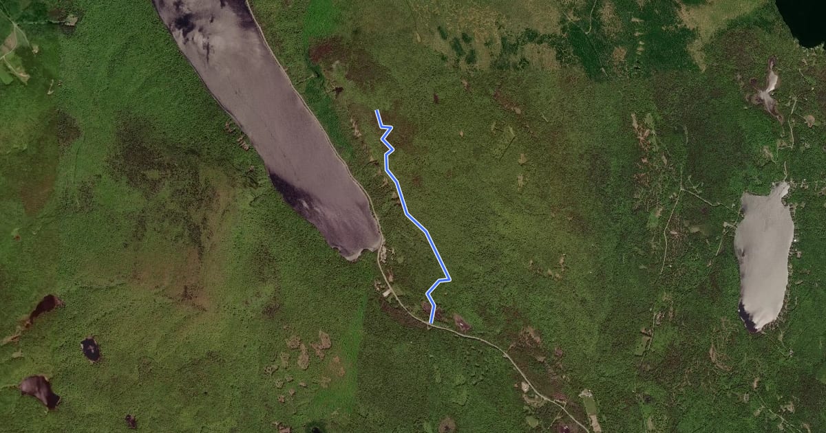Маршрут South Trail на спутниковом снимке