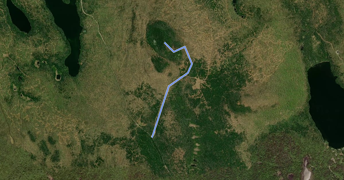 Маршрут South Trail на спутниковом снимке