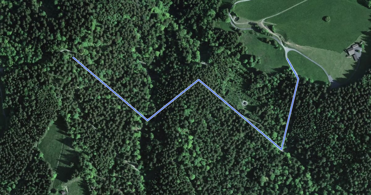 Маршрут Sparenweid - Widenwald на спутниковом снимке