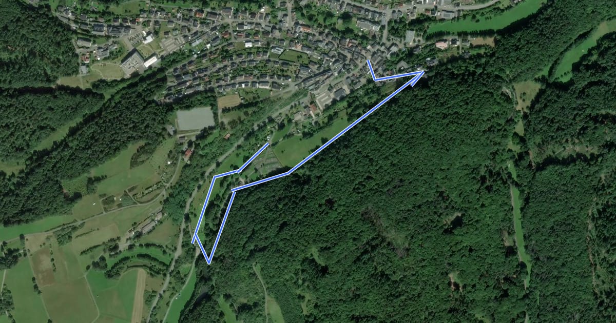 Маршрут Spazierrundweg Zum Fischweiher на спутниковом снимке
